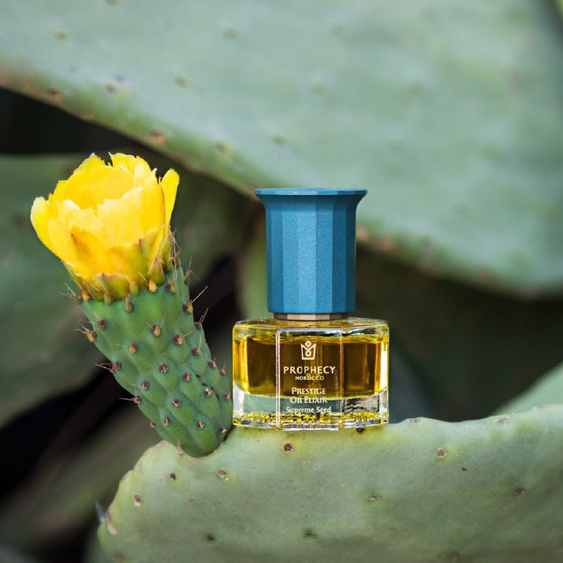 抗老精华油 ─【铂翡斯】仙人掌籽超能量金萃油 15ml 植萃 保养油 - 精华液/安瓶 - 浓缩/萃取物 