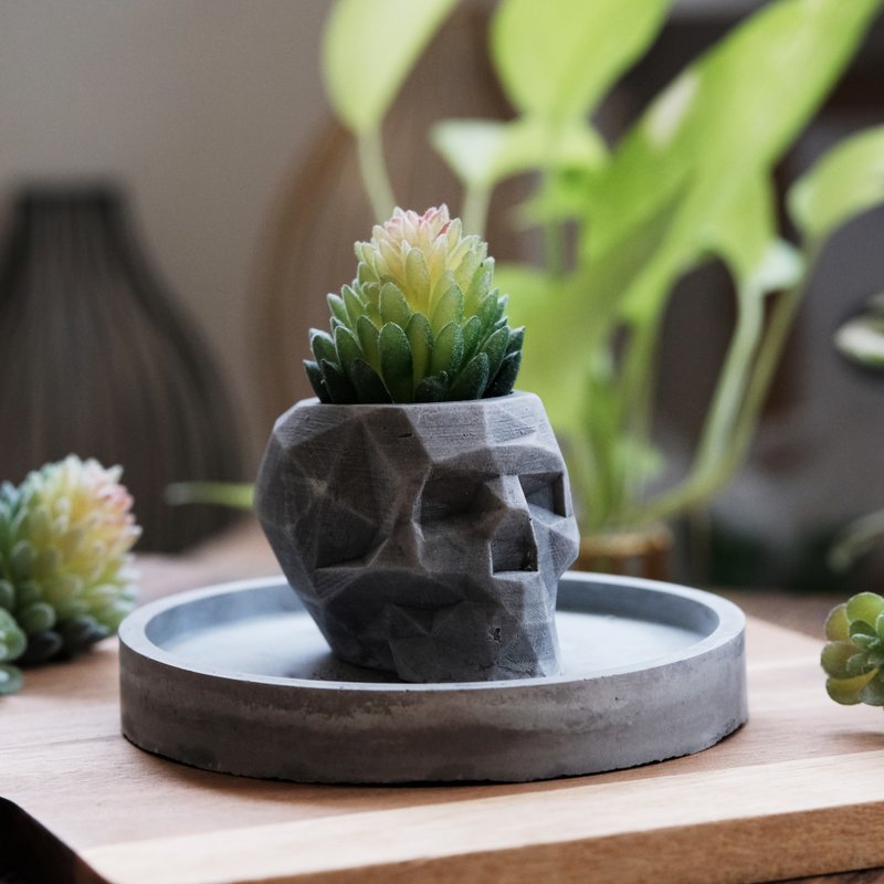 骷髅头水泥盆-多肉盆栽材料包 万圣节 头骨 人头 男友礼物 - 植栽 - 植物．花 