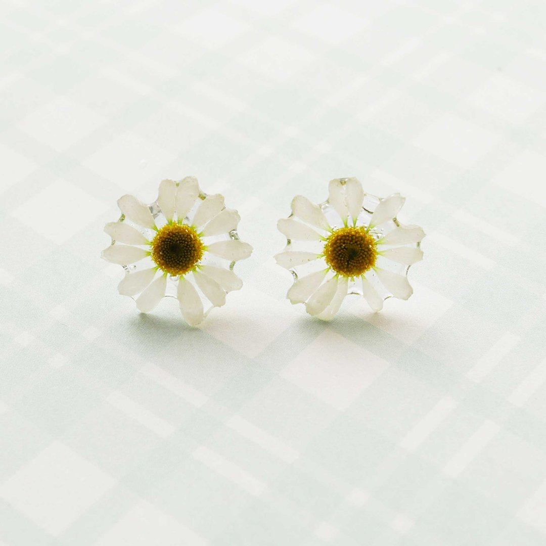 Real Matricaria recutita earrings - 耳环/耳夹 - 树脂 白色