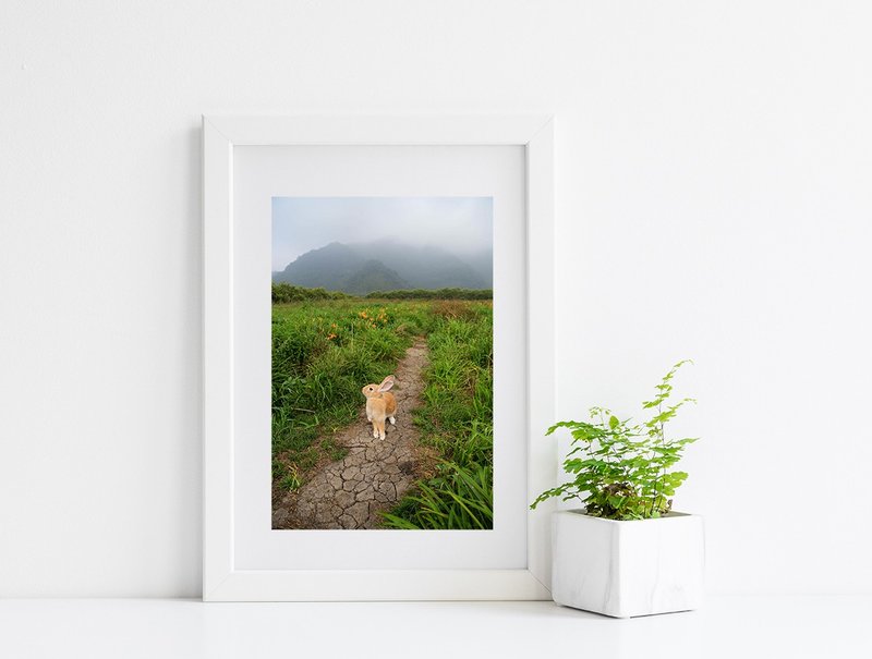 兔子摄影艺术微喷作品 - 未知局面 - 海报/装饰画/版画 - 纸 