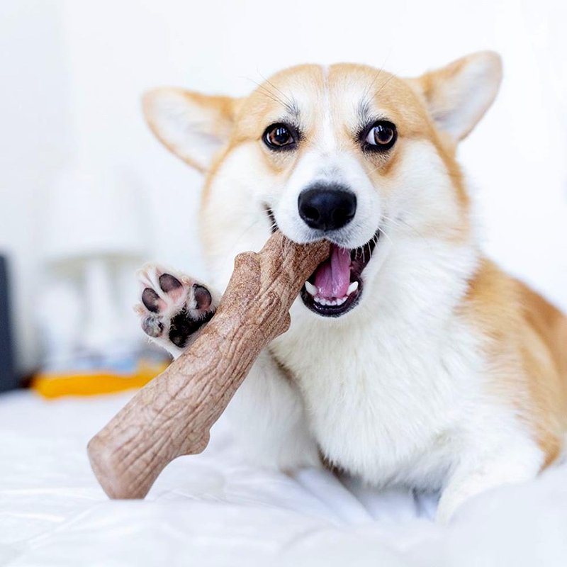 洁牙骨   耐咬史迪克 (小中大型犬 / 4尺寸)  宠物玩具 - 玩具 - 其他材质 