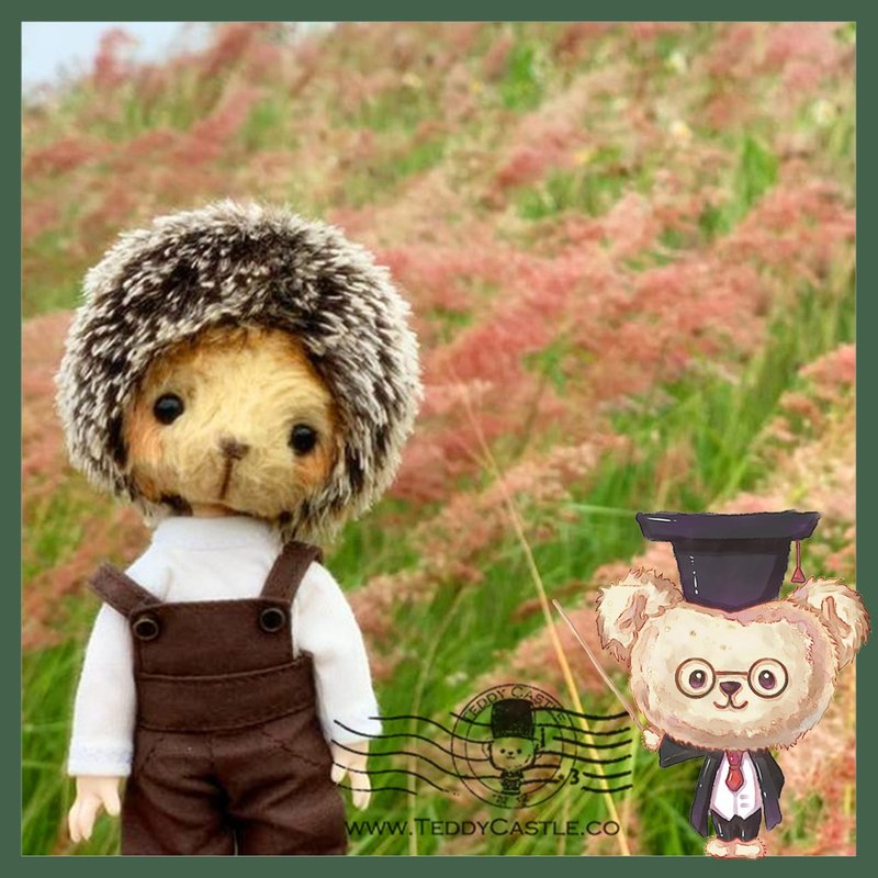 餖飣系列－OB11 刺猬 Handmade 艺术家泰迪熊 毛海 Teddy Bear - 玩偶/公仔 - 其他材质 