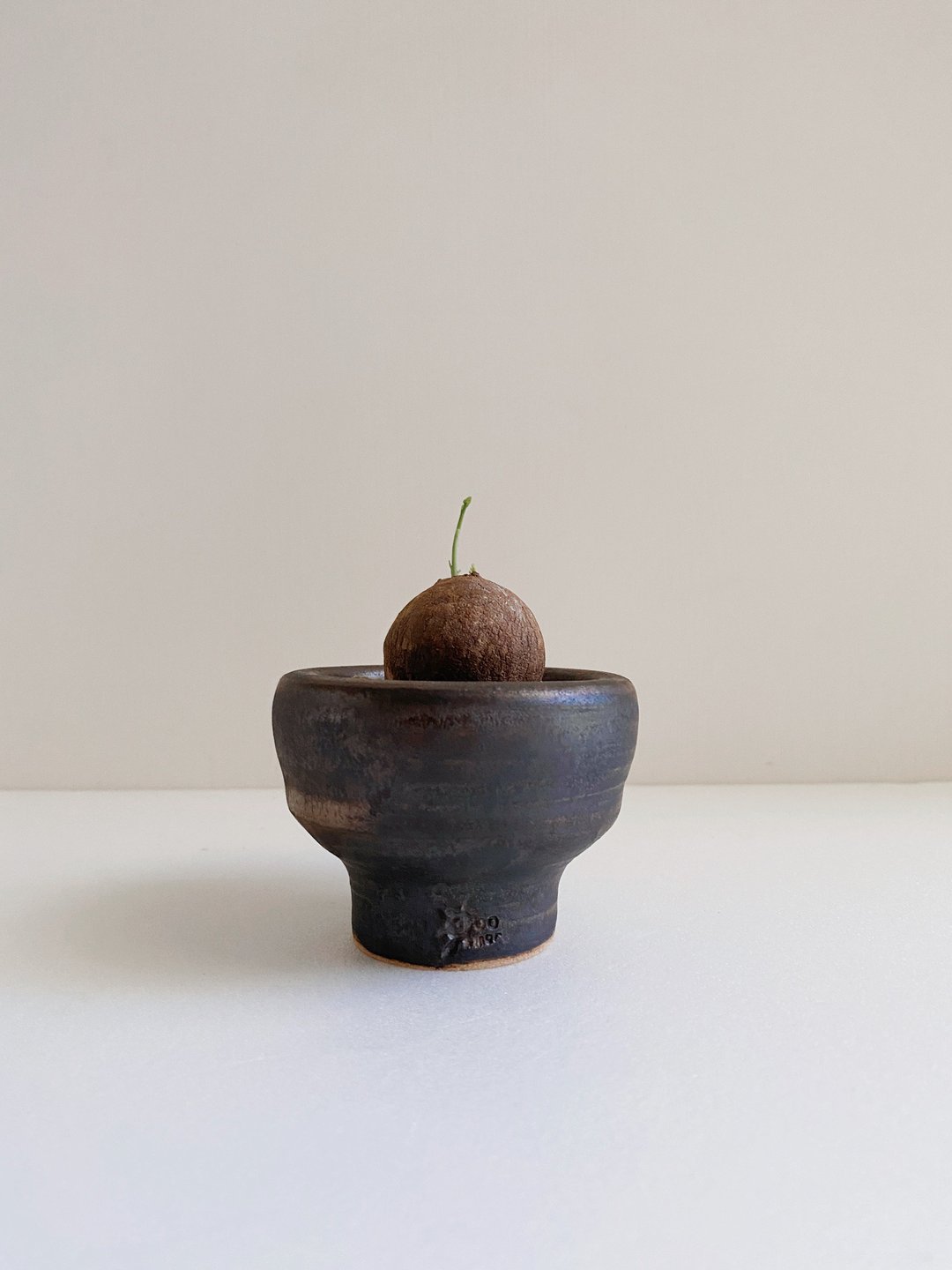 山乌龟与黑金手作陶 - 植栽/盆栽 - 陶 金色