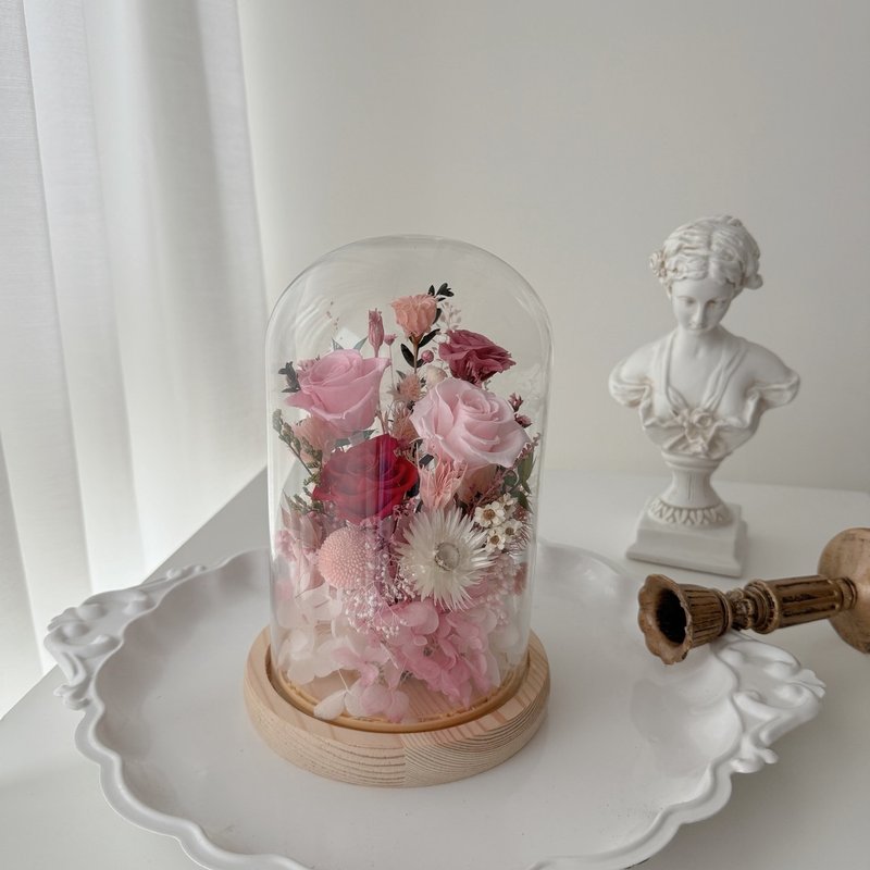 SEE 看见花艺设计 | 永生花 | 玫瑰 |晨曦玫红玻璃花盅 - 干燥花/捧花 - 植物．花 