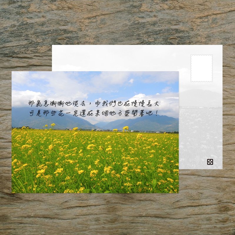 No.B26明信片 / 花还盛开着 / 任选买10送1 - 卡片/明信片 - 纸 多色