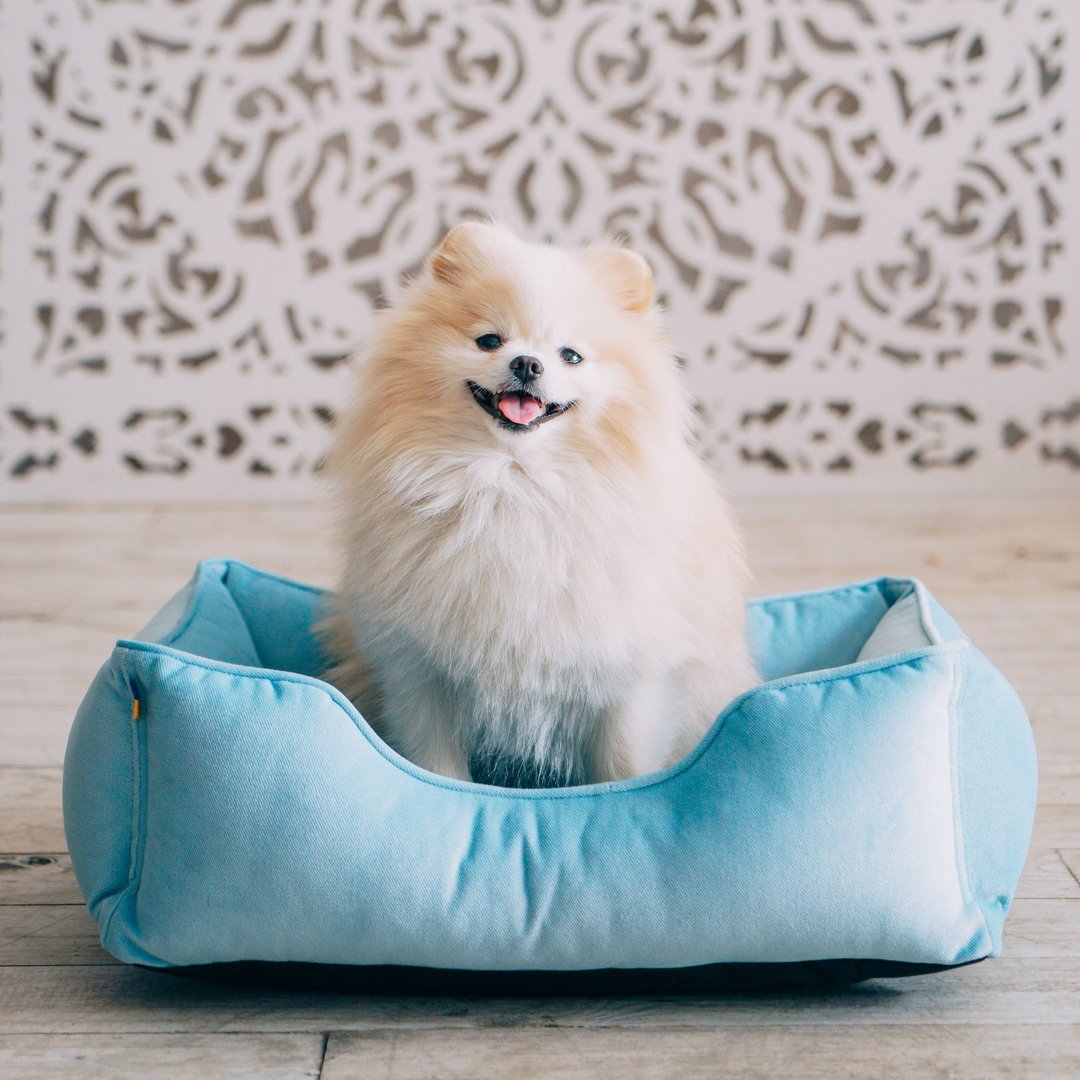 Mini dog bed XS Size 50x40 cm, light blue - 床垫/笼子 - 其他材质 蓝色