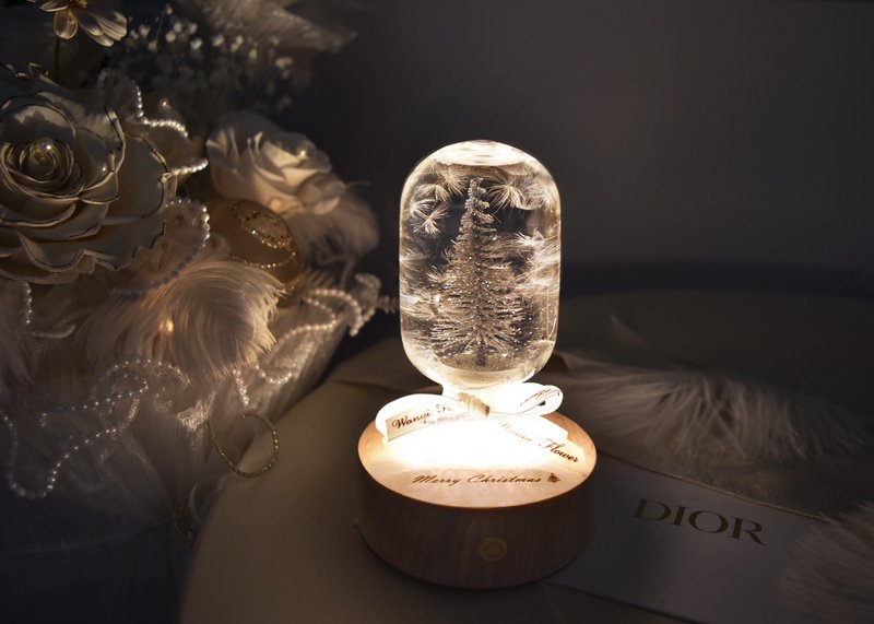 圣诞树蒲公英水晶球 浮游花小夜灯 干燥花 圣诞礼物 交换礼物圣诞 - 灯具/灯饰 - 植物．花 白色