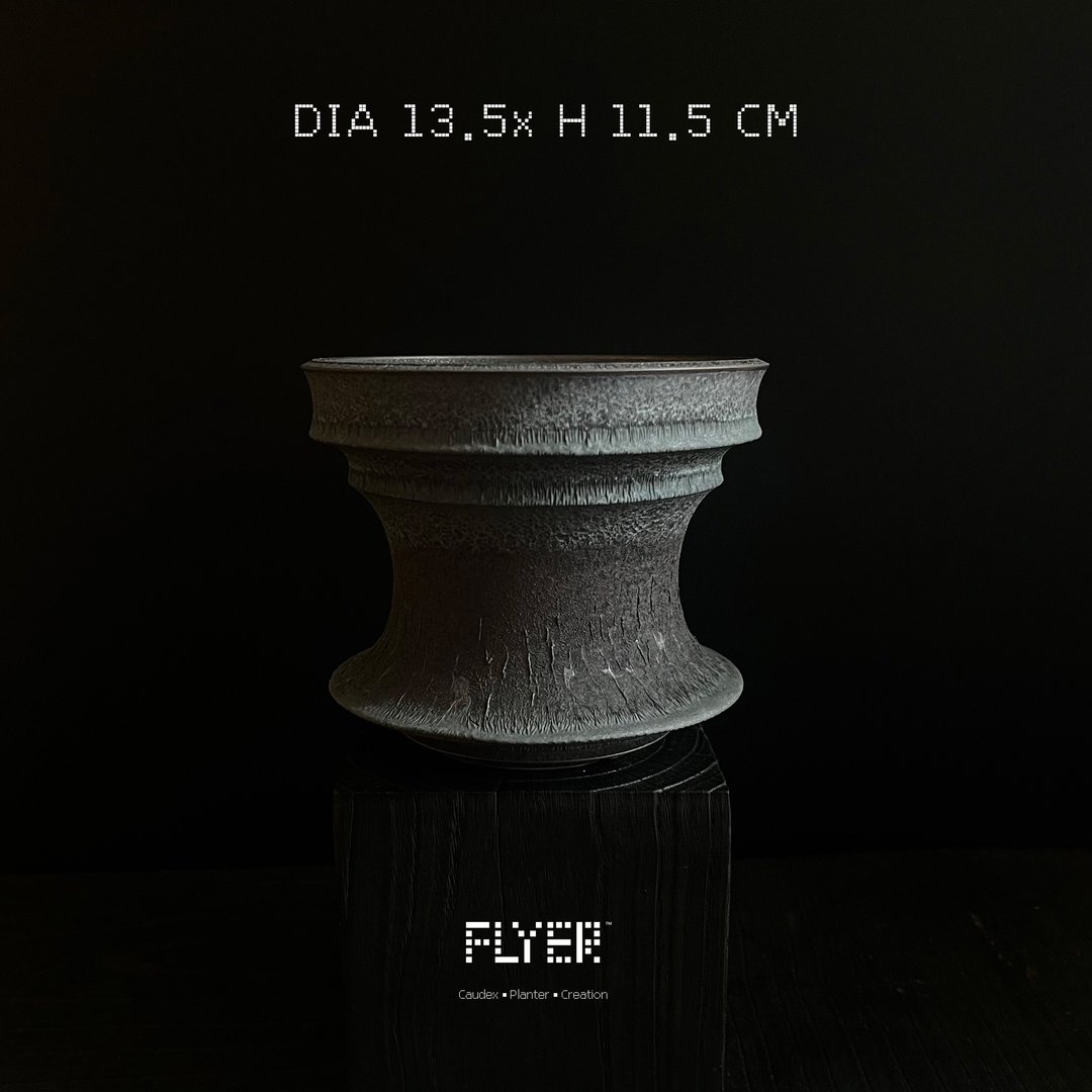 FLYER 块根多肉植物陶盆器 龙舌兰象牙宫象足漆树盆器 - 花瓶/陶器 - 陶 黑色