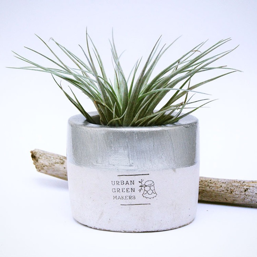 UGM圆型清水模盆器 / 银 - 植栽/盆栽 - 水泥 银色