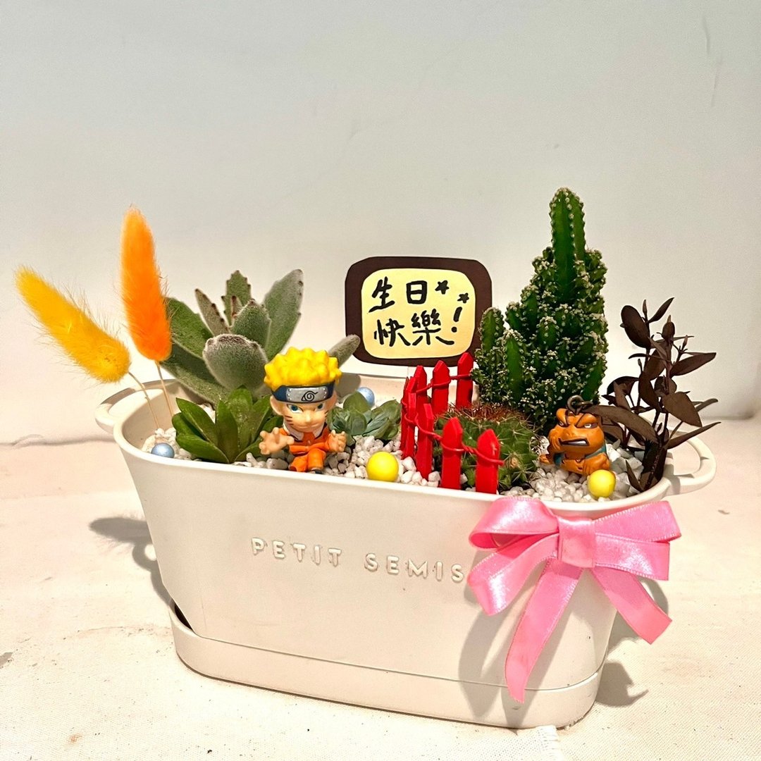 火影忍者 鸣人 漩涡鸣人 蛤蟆吉 多肉组盆 微景观盆栽 多肉 送礼 - 植栽/盆栽 - 植物．花 绿色
