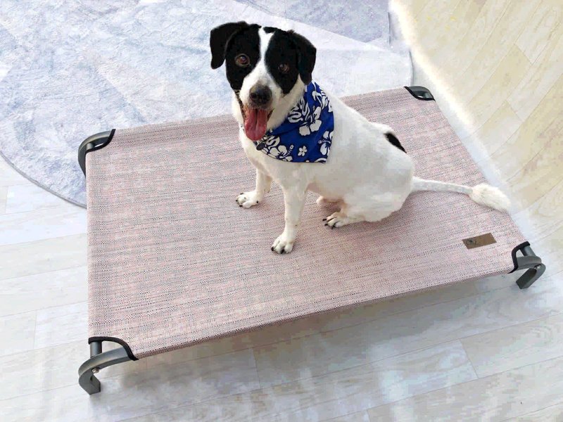 新品上市L小王子的飞行床-冰晶灰床架-挪威粉床套- 长110X宽80X高 - 床垫/笼子 - 环保材料 