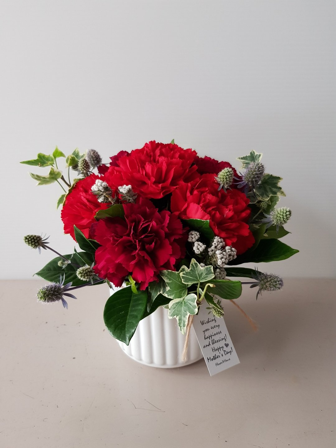 鲜花。Love妈咪。红色进口康乃馨母亲节圆盆花。全台宅配欢迎自取 - 植栽/盆栽 - 植物．花 红色