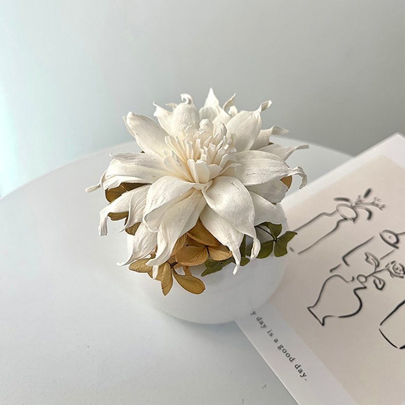 【艹弄花艺】扩香花礼盒-卷卷太阳 (附香氛精油) - 香薰/精油/线香 - 植物．花 