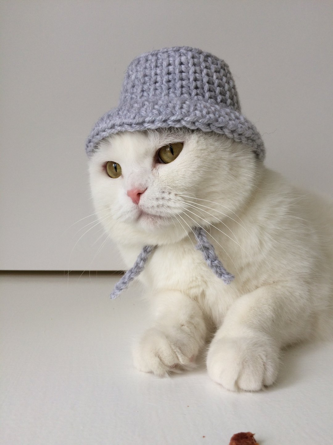 猫帽，钩针图案，猫用渔夫帽，可爱猫帽，猫配件 - 手工艺教程/工具书 - 其他材质 