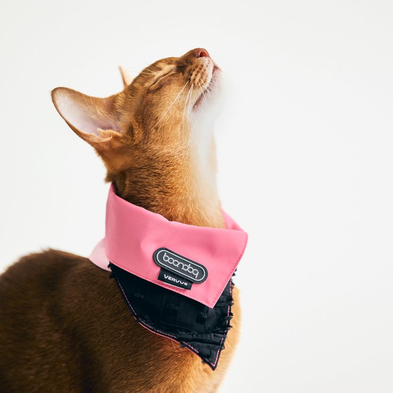 【 VERVVE 】NARROW Boondog 联名款宠物领巾 - 衣/帽 - 其他材质 