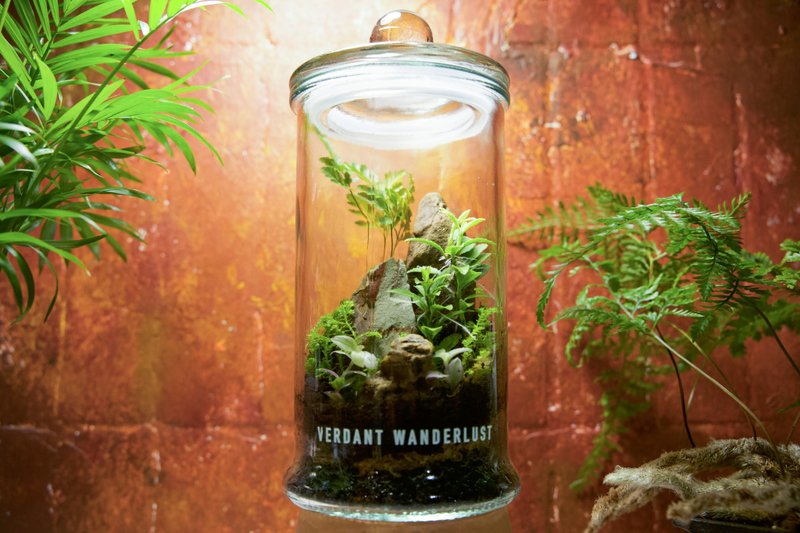 【生态瓶－翠岭石语】微景观 室内植栽 礼物 办公室摆设 - 植栽/盆栽 - 玻璃 绿色