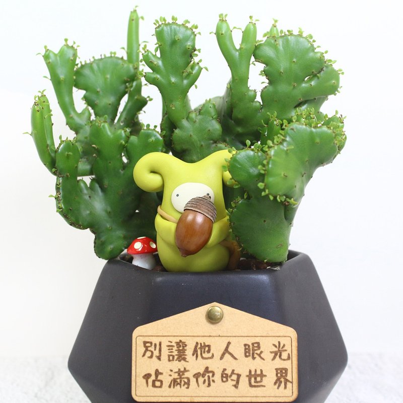 【多肉黑钻瓷盆-珊瑚大戟A(缀化)】盆栽/植栽/生日/刻字(附字牌) - 植栽/盆栽 - 瓷 绿色