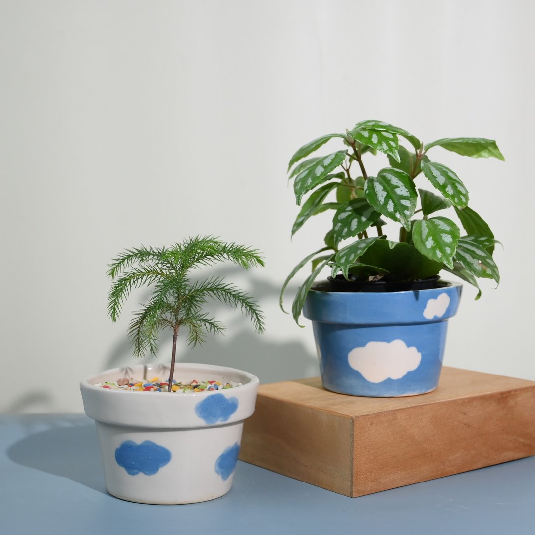 Cloud Cupcake Pans - 植栽/盆栽 - 陶 