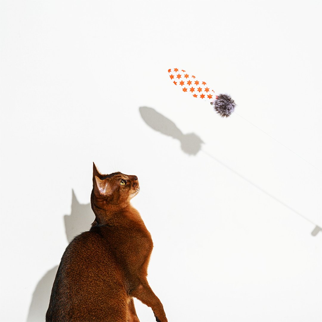 魔法羽毛逗猫棒 暗藏铃铛 天然环保 软木手柄 閃亮星星 - 玩具 - 软木/水松木 橘色