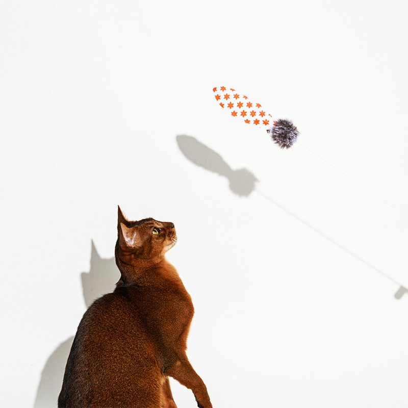 魔法羽毛逗猫棒 暗藏铃铛 天然环保 软木手柄 閃亮星星 - 玩具 - 软木/水松木 橘色