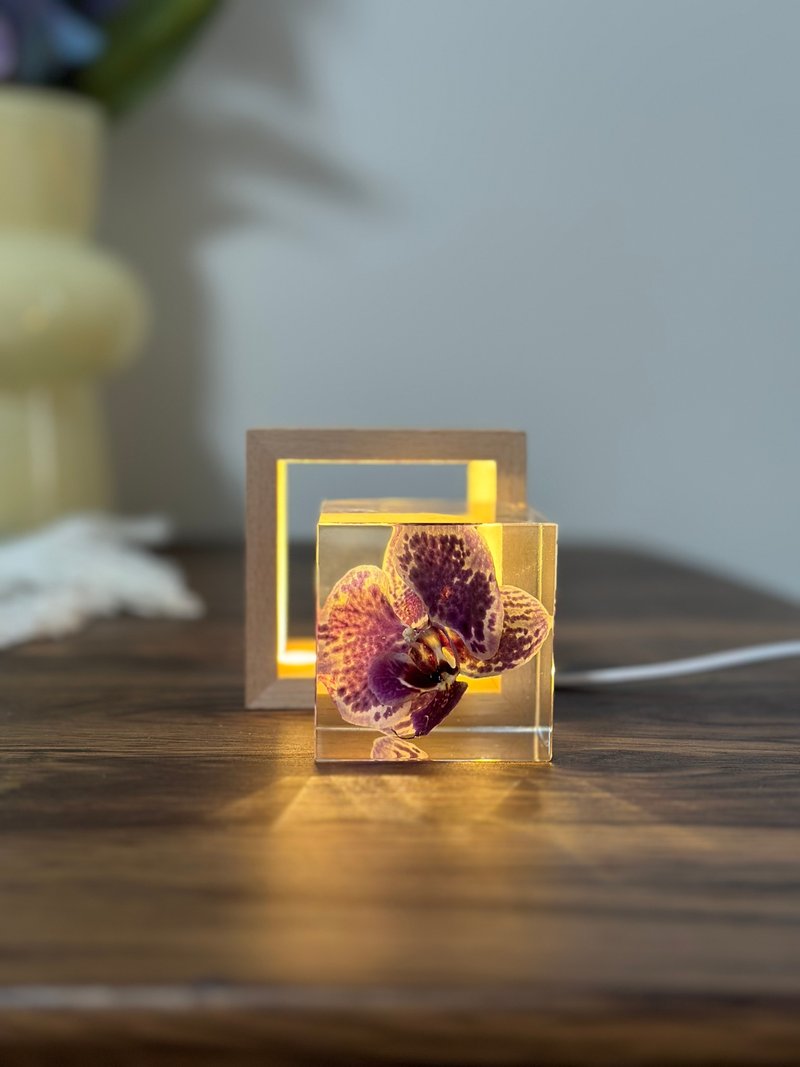 真花 \干燥花 米奇蝴蝶兰永生花樹脂夜燈 - 摆饰 - 树脂 紫色