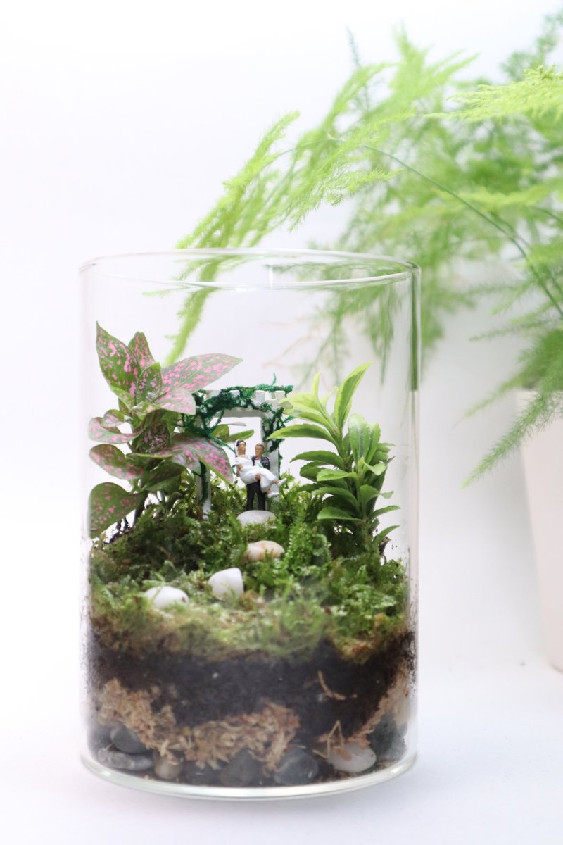 【微景观】 爱情藓现 - 组盆/婚礼/结婚纪念/情人节礼物/室内植物 - 植栽/盆栽 - 玻璃 绿色