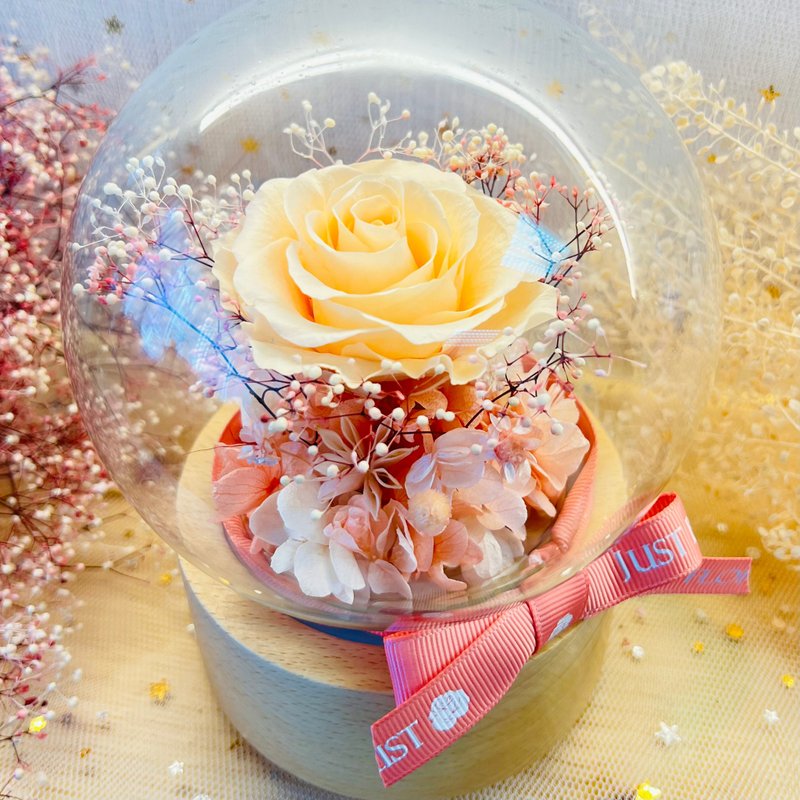 永生花玫瑰音乐盒 清丽香槟色 随音乐旋转 定制化自订字句心意牌 - 干燥花/捧花 - 植物．花 
