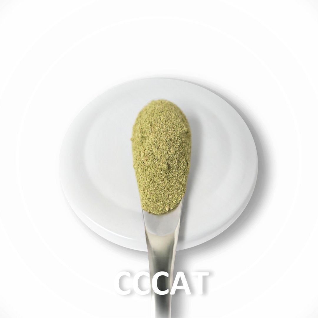 CCCAT 青花菜冻干粉 - 肠胃保养 - 猫罐头/鲜食 - 玻璃 绿色