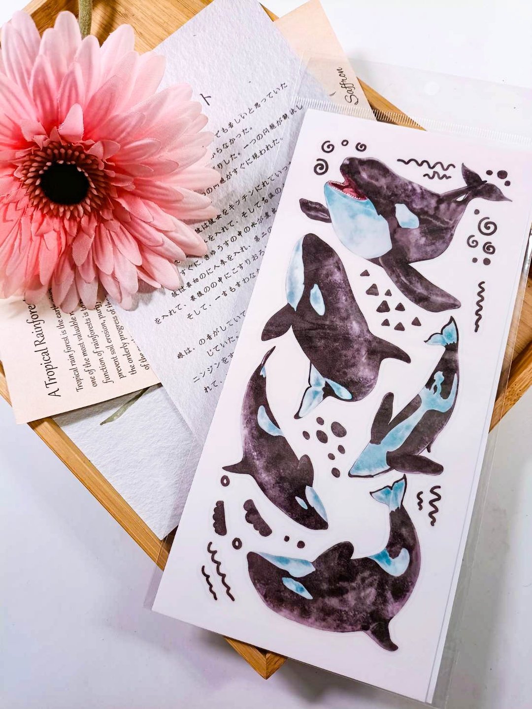 5K040_五口美 _ 鯨魚C_whale C_クジラ C /轉印貼紙 - 贴纸 - 其他材质 多色