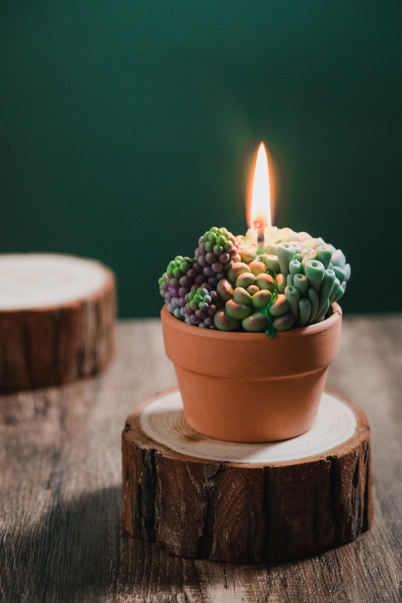 草本植栽 • 多肉蜡烛 - 蜡烛/烛台 - 蜡 多色