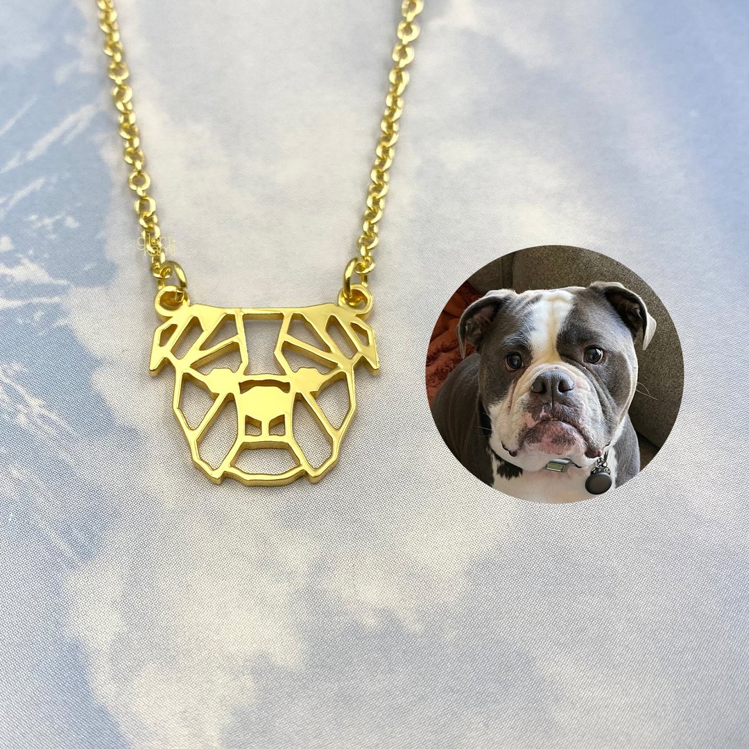 Custom Dog Necklace, Dog memorials, Pet jewelry, Birthday Gift for girl - 项链 - 铜/黄铜 金色