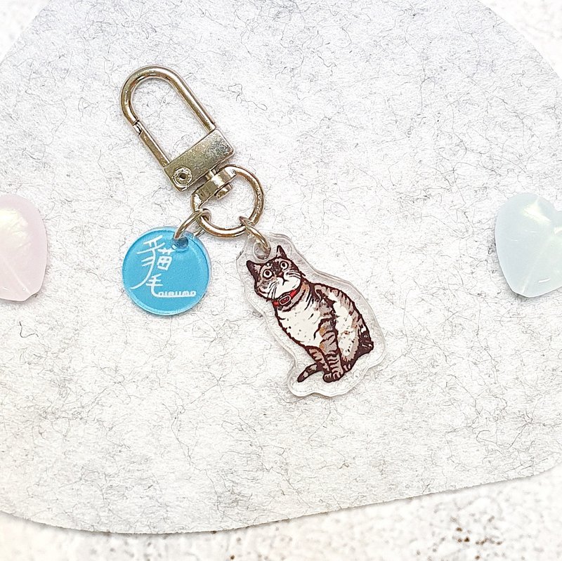 猫毛 压克力吊饰 钥匙圈 airpods  / 美国短毛猫 - 吊饰 - 压克力 多色