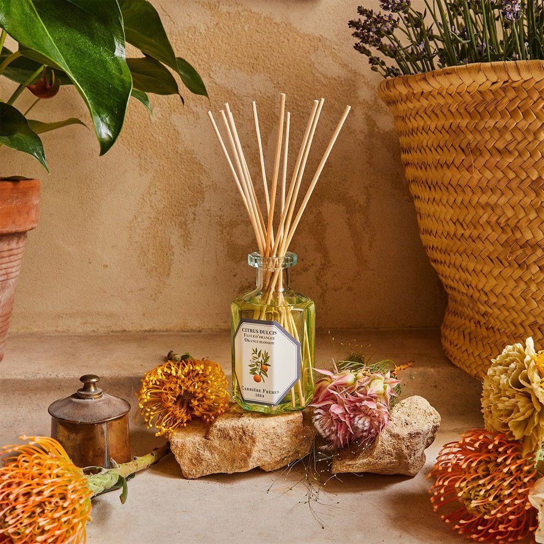 Carrière Frères 橙花扩香瓶 - 香薰/精油/线香 - 玻璃 透明