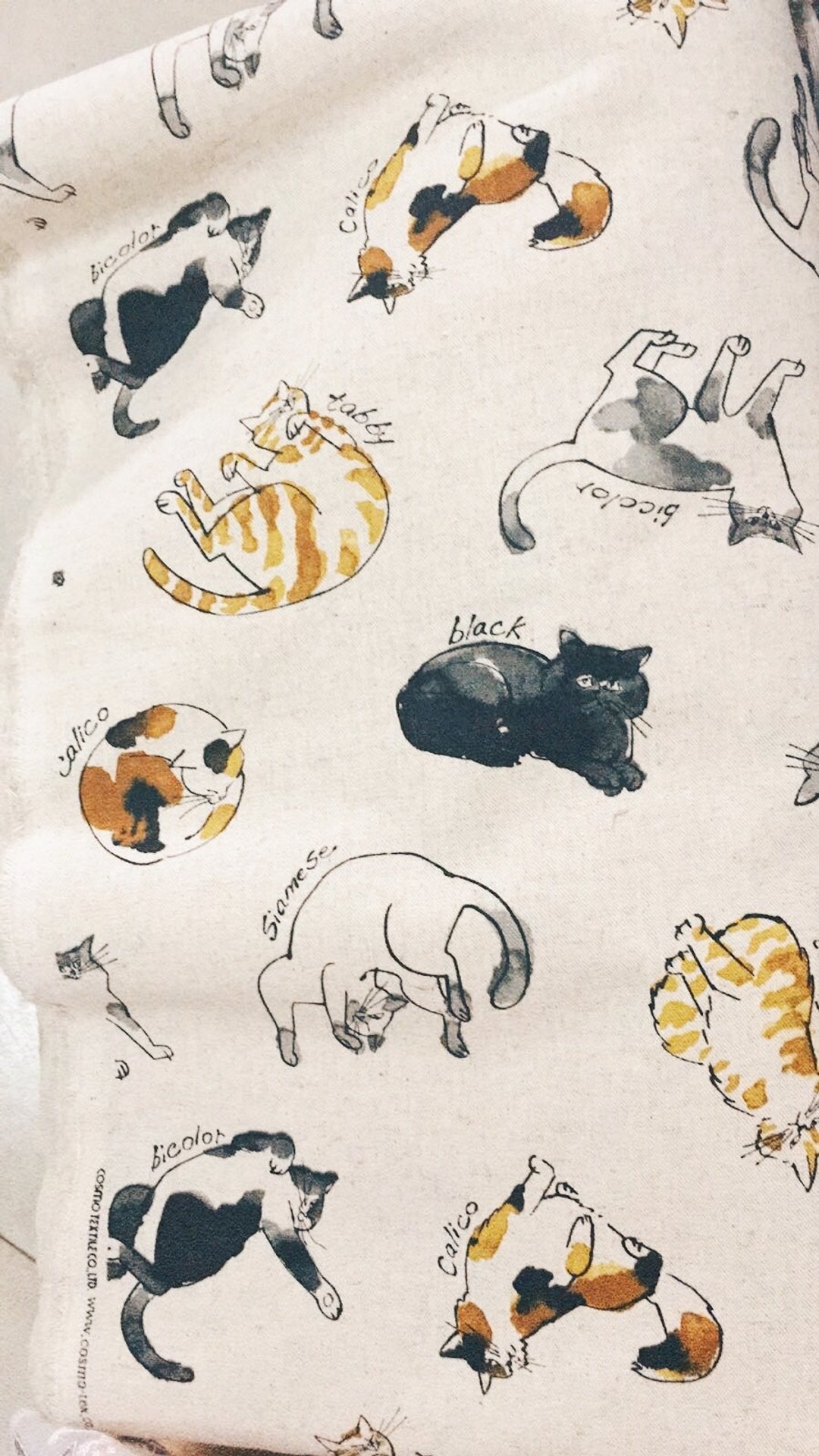 限定布料 / 手绘风猫咪们 订造区 / 815a.m - 电脑包 - 棉 