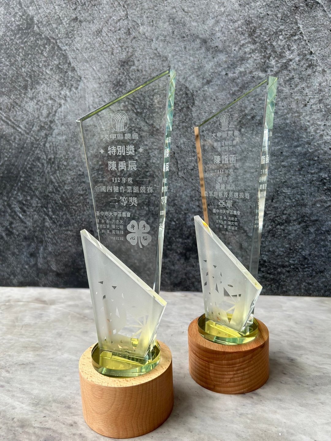 【定制化】木质奖杯 / 奖杯 / 造型奖杯 / 特色奖杯 - 其他 - 木头 卡其色