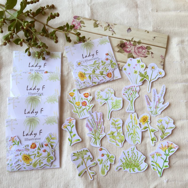 Lady F手绘花草透明贴纸组 - 贴纸 - 纸 粉红色