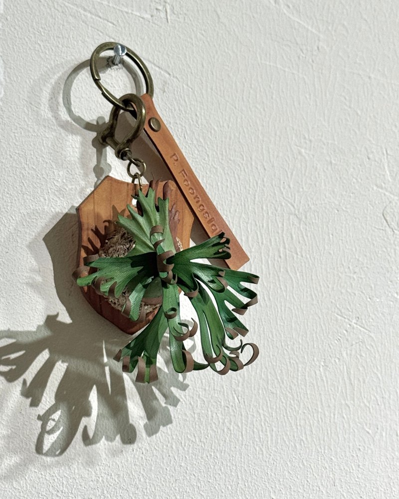 卷卷鹿角蕨_皮革吊饰 / 送礼 - 吊饰 - 真皮 