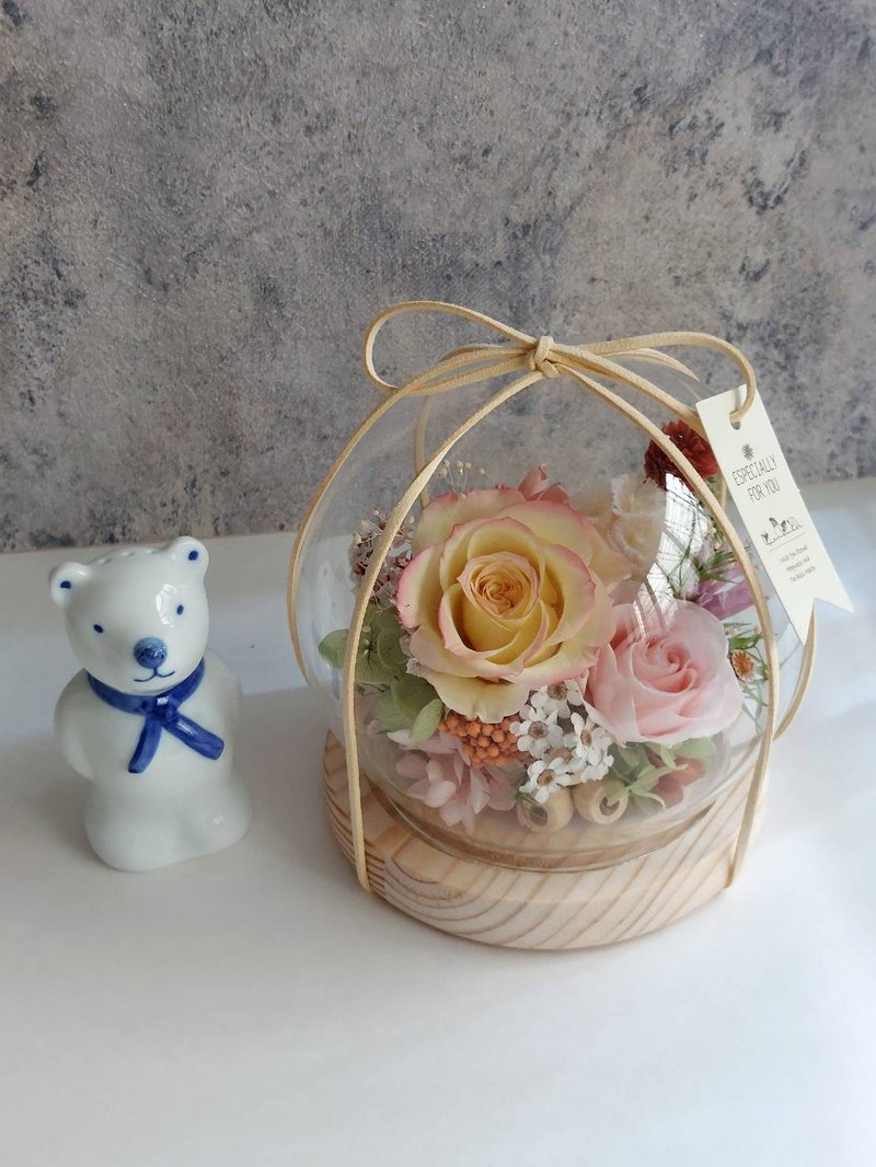 晨光花语 永生花玻璃罩.花盅 祝贺花礼 圣诞节.生日.情人节.升迁 - 干燥花/捧花 - 植物．花 