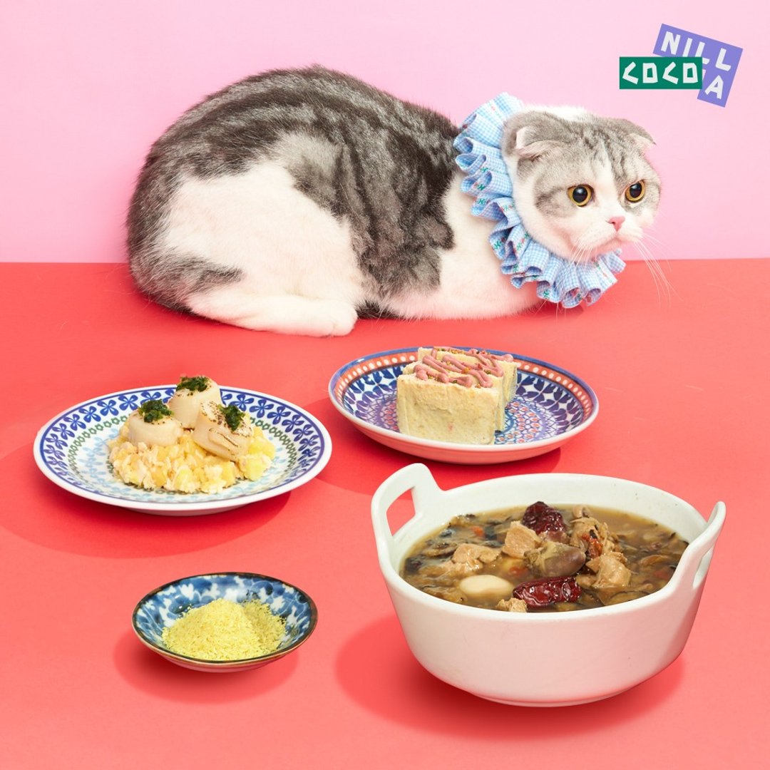 猫咪年菜四件独享组-宠物年菜宝盒-2024-CoCo大饭店 - 猫罐头/鲜食 - 新鲜食材 粉红色