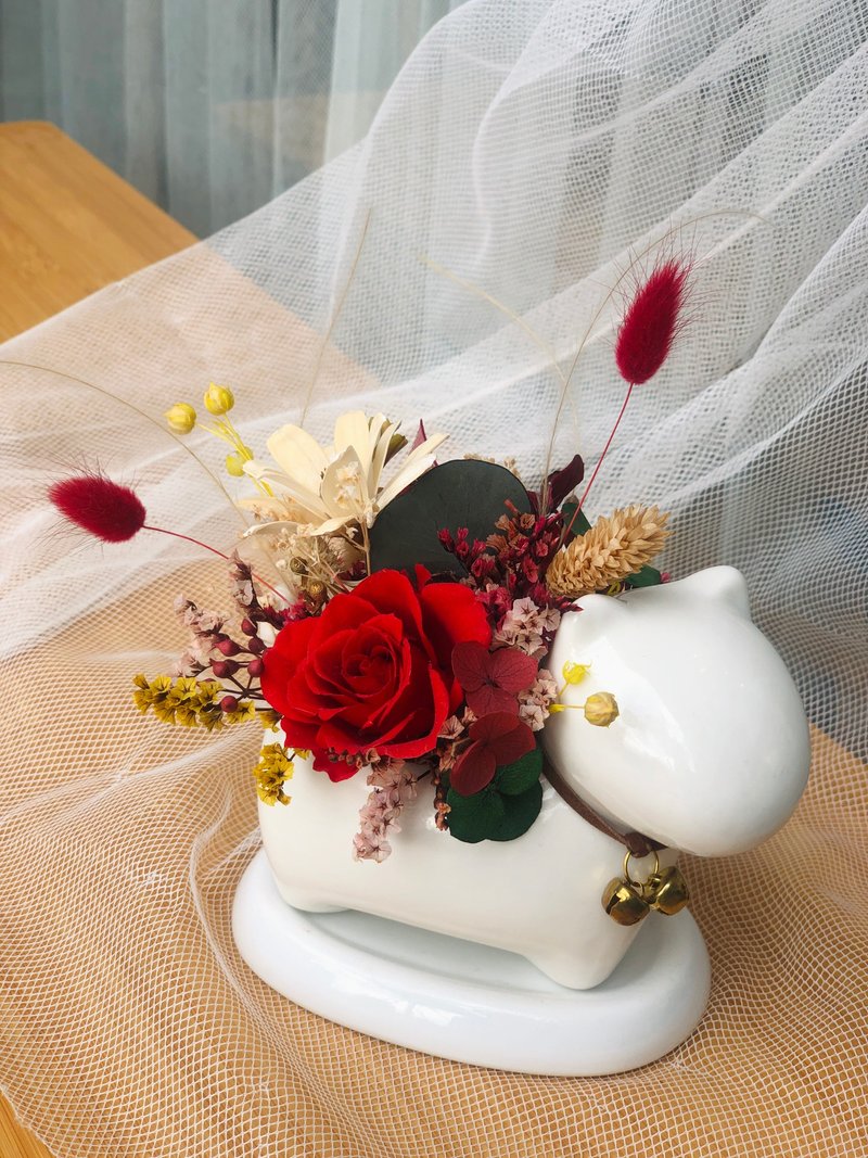 Ochre 永生花 汪汪小盆花 - 干燥花/捧花 - 植物．花 红色