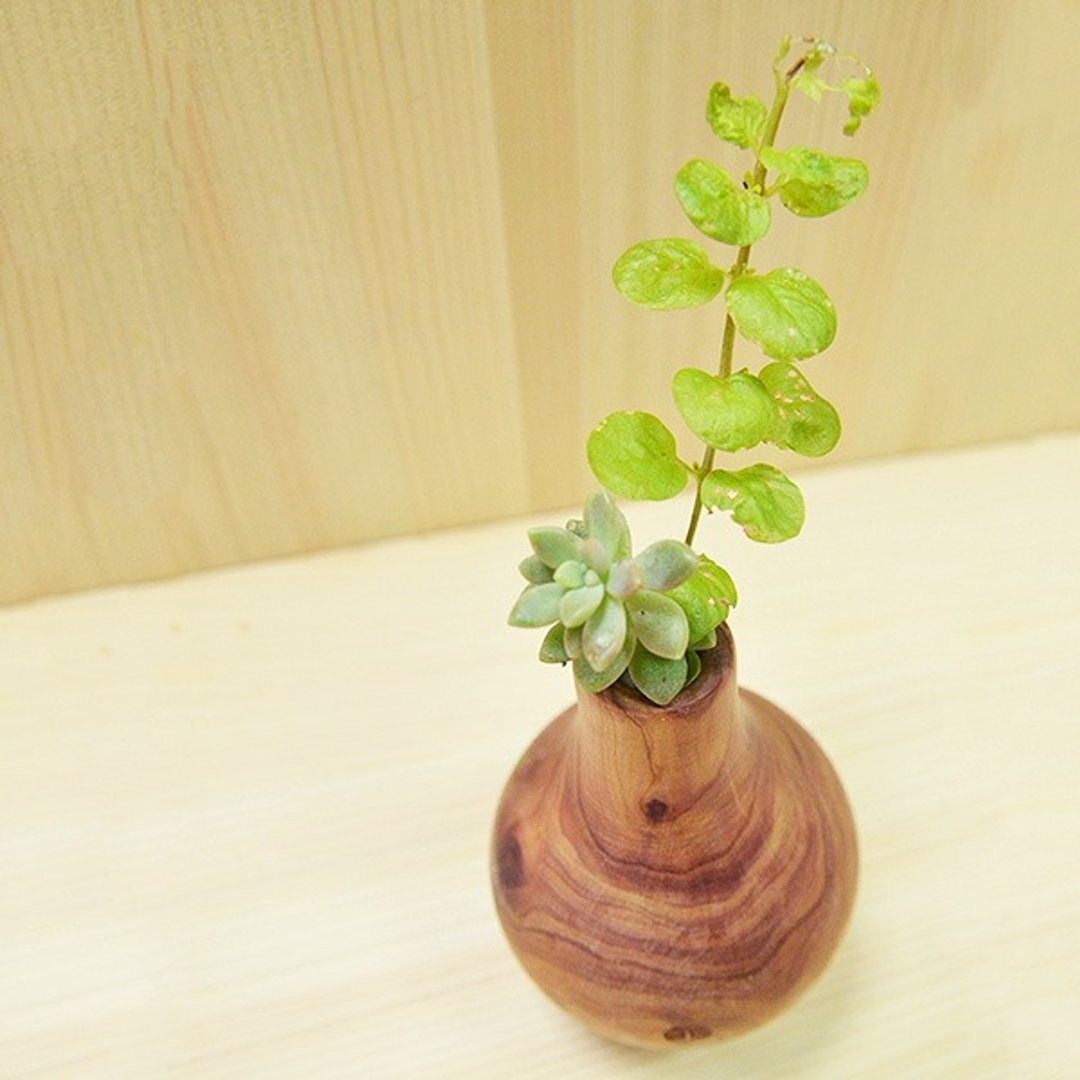 滚动花器-龙柏 小盆器、全方位360度的摆放 - 植栽/盆栽 - 木头 绿色