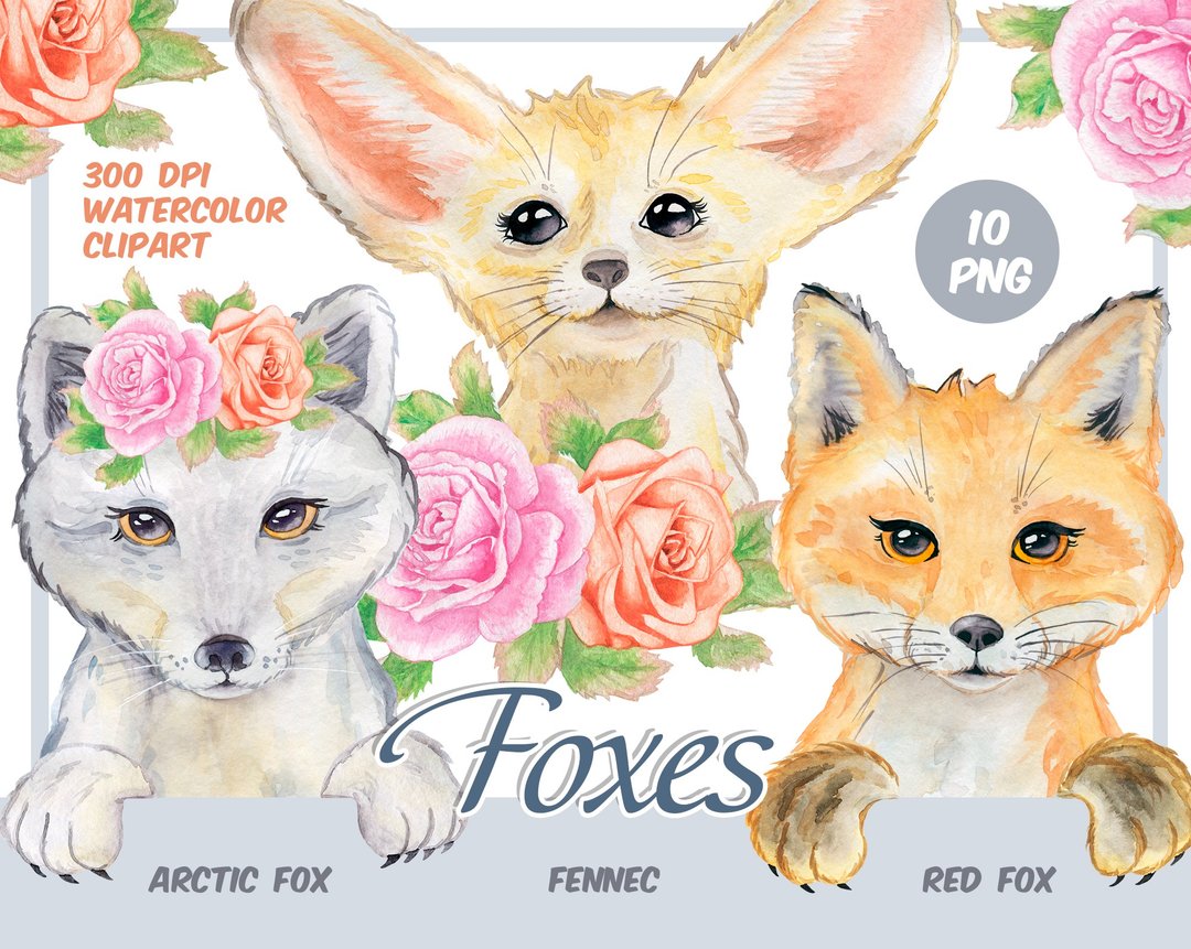 Watercolor foxes clipart - red fox, arctic fox, fennec PNG - 插画/绘画/写字 - 其他材质 咖啡色