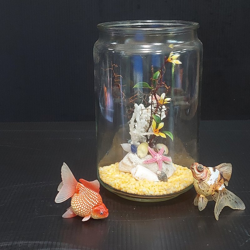 鱼缸 珊瑚海景、流木水草 组合造景 AM-003-XS-01 - 植栽/盆栽 - 玻璃 