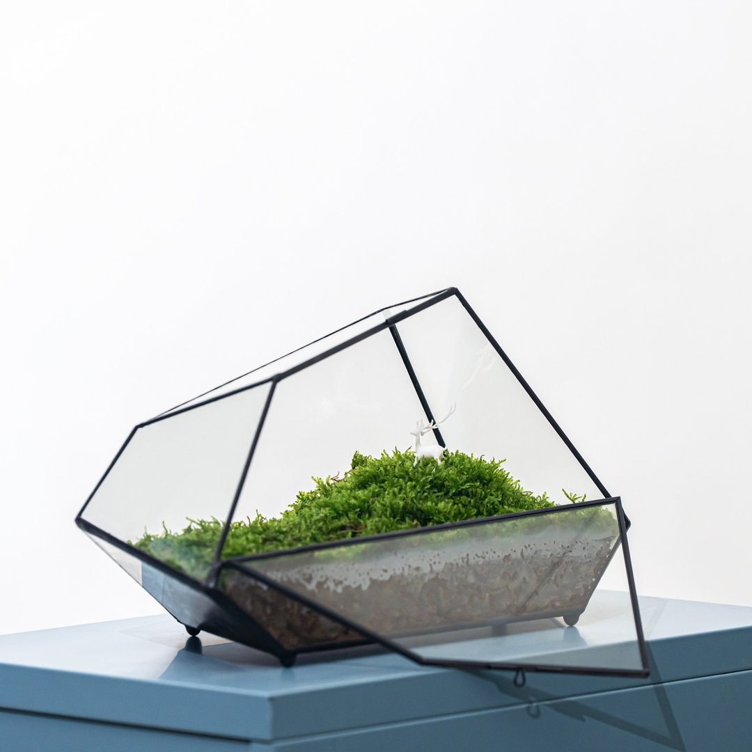 苔藓建筑－空灵的鹿 - 植栽/盆栽 - 玻璃 多色