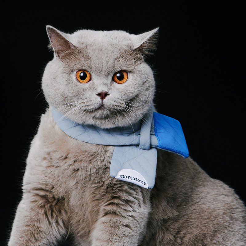 building block / 蓝色围巾 - 衣/帽 - 棉．麻 蓝色