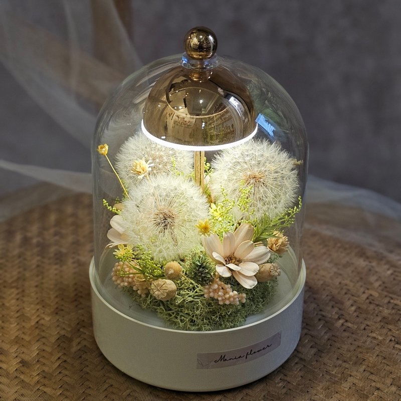 蒲公英触控式夜灯玻璃罩 附USB充电线 快速出货 - 干燥花/捧花 - 植物．花 白色