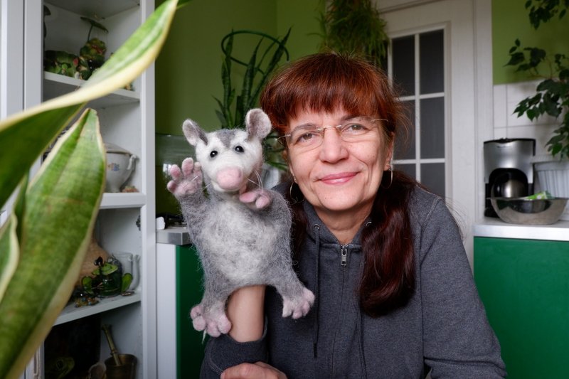 美国负鼠 木偶剧院的手套玩具 - 玩具/玩偶 - 羊毛 灰色