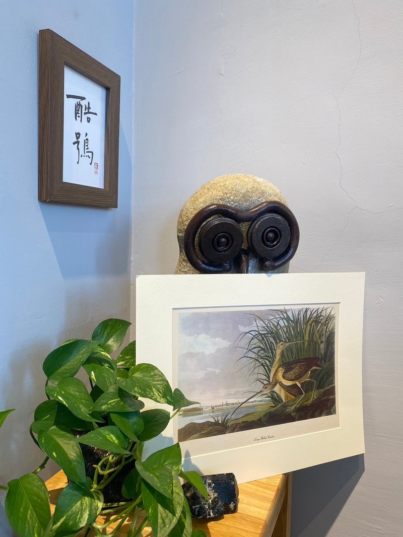 美国鸟类学家Roger Tory Peterson鸟类图鉴版画 - 海报/装饰画/版画 - 纸 