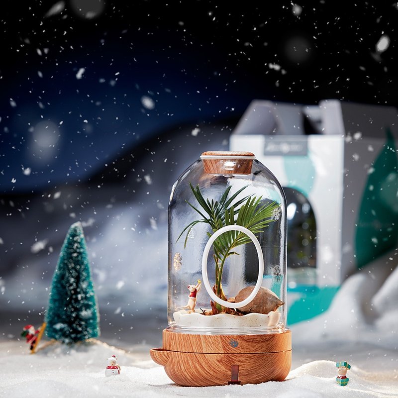 圣诞礼物 交换礼物 创意礼品 疗愈植栽灯 桌上盆栽 办公室必备 - 植栽/盆栽 - 纸 多色