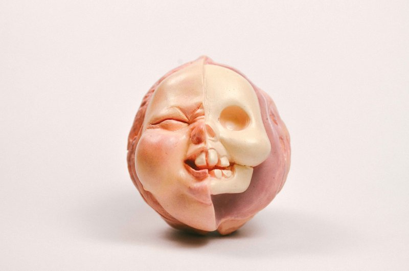 半剖肉核桃 设计师公仔 摆件  生日  快速出货 - 玩偶/公仔 - 树脂 粉红色